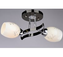 Подвесная люстра РОССВЕТ 2*60Вт*E27 РС19000 CR+BK/2C