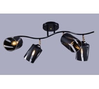 Потолочная люстра РОССВЕТ 4х60ВтхE27 РС21099 BK+FG/4C