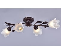 Потолочная люстра РОССВЕТ 4х60ВтхE27 РС22320 BRN+FG/4C