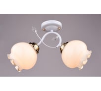 Потолочный светильник РОССВЕТ 2х60ВтхE27 РС20113 WT+FG/2C