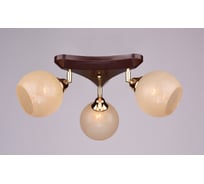 Потолочный светильник РОССВЕТ 3х40ВтхE27 РС18653 BRN+FG/3C