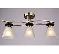 Потолочный светильник РОССВЕТ 3х60ВтхE27 РС16210 AB+DK/3C