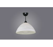 Подвесной светильник РОССВЕТ 1х60ВтхE27 РС20200 BK/1C