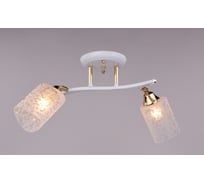 Люстра РОССВЕТ 2х60ВтхE27 РС20013 WT+FG/2C