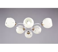 Люстра РОССВЕТ 6х60ВтхE27 РС20005 WT+FG/6C