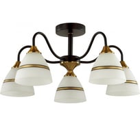 Потолочная люстра LUMION E27 5*60W NETTIE 5214/5C