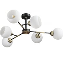 Потолочная люстра LUMION E27 6*40W ROWAN 4595/6C