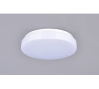 Потолочный светильник РОССВЕТ LED-модуль*24Вт*LED РС20759/1