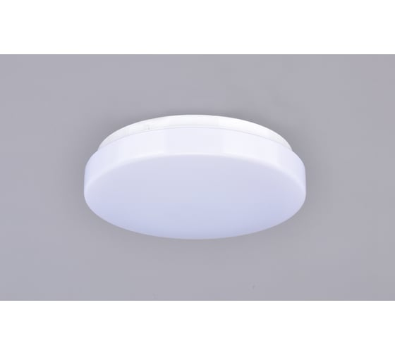 Потолочный светильник РОССВЕТ LED-модуль*24Вт*LED РС20759/1 1