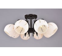 Потолочный светильник РОССВЕТ 8*60Вт*E27 РС20000 BK+CR/8C