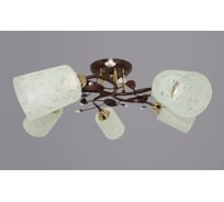 Потолочный светильник РОССВЕТ 5*60Вт*E27 РС20734 BRN+FG/5C