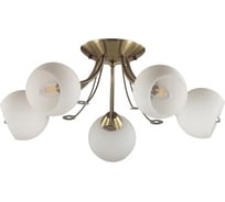 Потолочная люстра LUMION E14 5*40W TULA 5265/5C