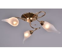 Потолочный светильник РОССВЕТ 3*60Вт*E14 РС21270 FG/3C