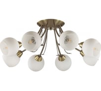 Потолочная люстра LUMION E14 8*40W TULA 5265/8C