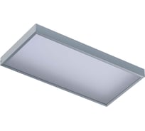 Светильник INNOLUX 14 895 ДВО-05-О-18-4К-IP40-A1 14895