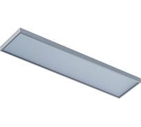 Светильник INNOLUX 14 842 ДВО-04-П-30-4К-IP40-A3 14842