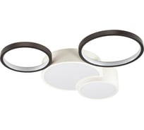 Потолочная люстра LUMION LED, 64W, NORBERT 5253/64CL