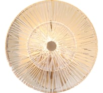 Настенный светильник (бра) MAYTONI Aster 1хE14x40 W MOD007WL-01G