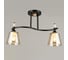 Люстра JUPITER LIGHTING N10-4708/2 1