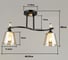Люстра JUPITER LIGHTING N10-4708/2 2