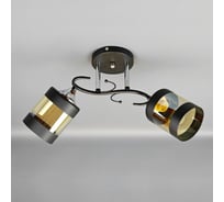 Люстра JUPITER LIGHTING MO 83-5061/2B