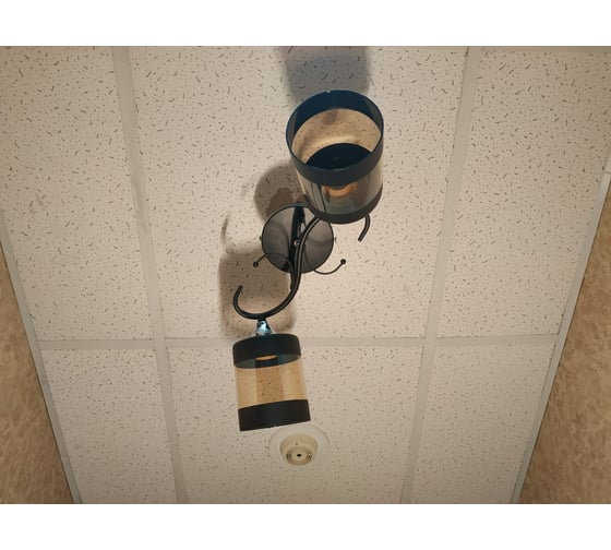 Люстра JUPITER LIGHTING MO 83-5061/2B