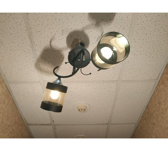 Люстра JUPITER LIGHTING MO 83-5061/2B