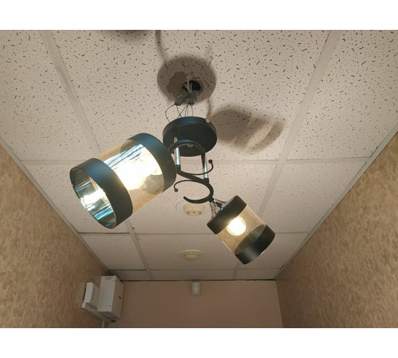 Люстра JUPITER LIGHTING MO 83-5061/2B