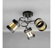 Люстра JUPITER LIGHTING MO 83-5061/3B