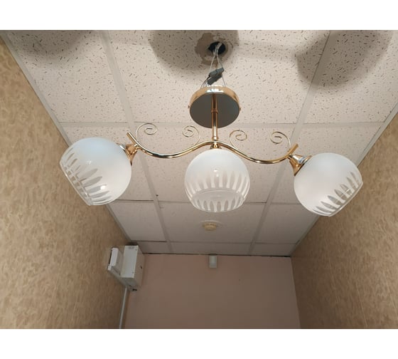 Люстра JUPITER LIGHTING MO 83-5154A/3
