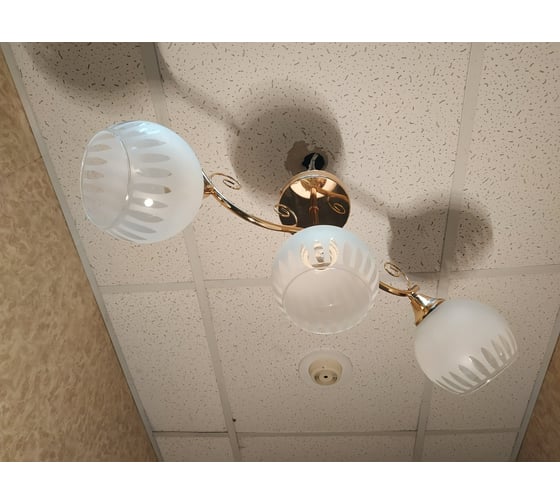 Люстра JUPITER LIGHTING MO 83-5154A/3