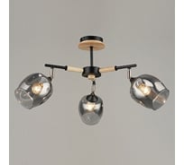 Люстра JUPITER LIGHTING N10-4714/3