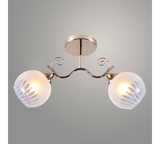 Люстра JUPITER LIGHTING MO 83-5154A/2 1