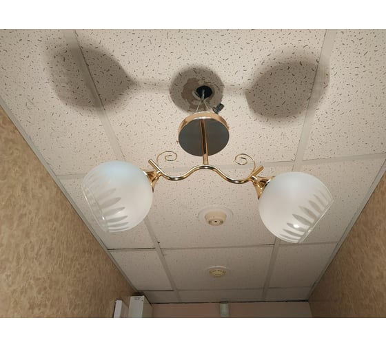 Люстра JUPITER LIGHTING MO 83-5154A/2