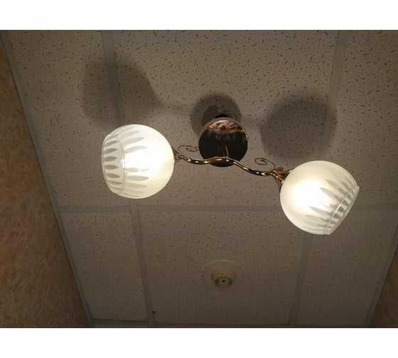 Люстра JUPITER LIGHTING MO 83-5154A/2