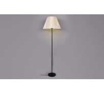 Торшер РОССВЕТ 1х60ВтхE27 РС22813/1F