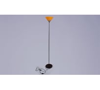 Торшер РОССВЕТ 1х60ВтхE27 РС21075 BRN/1F