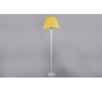 Торшер РОССВЕТ 1х60ВтхE27 РС20537 WT+FG/1F (shade)