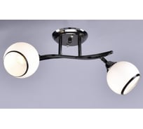 Потолочный светильник РОССВЕТ 2*60Вт*E27 РС22652/2