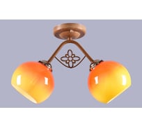 Потолочный светильник РОССВЕТ 2*60Вт*E27 РС20882 WD+FG/2C