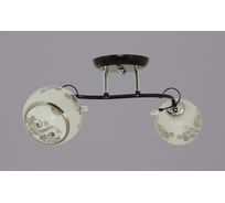 Потолочный светильник РОССВЕТ 2*60Вт*E27 РС20690 BK+CR/2C