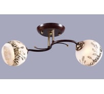 Потолочный светильник РОССВЕТ 2*60Вт*E27 РС20671 BRN+FG/2C