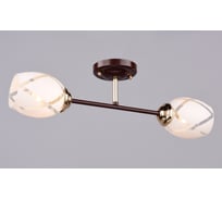 Потолочный светильник РОССВЕТ 2х60ВтхE27 РС20654 BRN+FG/2C