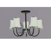 Потолочный светильник РОССВЕТ 5х60ВтхE27 РС20669 BK+CR/5C