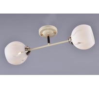 Потолочный светильник РОССВЕТ 2х60ВтхE27 РС20689 YG+FG/2C