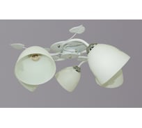 Потолочный светильник РОССВЕТ 5х60ВтхE27 РС20736 WT+CR/5C