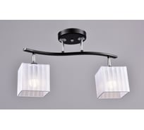Потолочный светильник РОССВЕТ 2х60ВтхE27 РС20997 BK+CR/2C