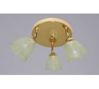 Потолочный светильник РОССВЕТ 3х60ВтхE27 РС21020 FG/3C