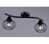 Потолочный светильник РОССВЕТ 2х60ВтхE14 РС21079 BK/2C