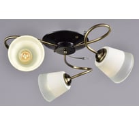 Потолочный светильник РОССВЕТ 3х60ВтхE27 РС22441 AB/3C
